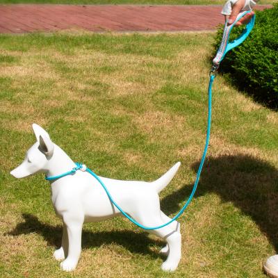 dog leash p rope p chain small and medium-sized dog explosion-proof chest back dog walking puppy pet dog walking leash in stock